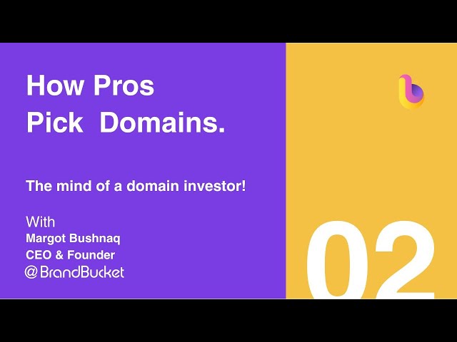 Inside the Mind of a Domain Investor: How Pros Pick and Profit